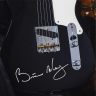 Наклейка на гитару автограф Брайана Мэя