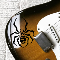 Наклейка паук на гитару