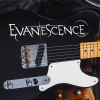 Наклейка Evanescence на гитару
