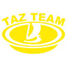 Наклейка ВАЗ TAZ Team