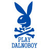 Наклейка Play Dalnoboy
